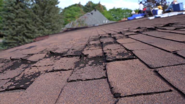 Best Roof Moss and Algae Removal  in New Concord, OH